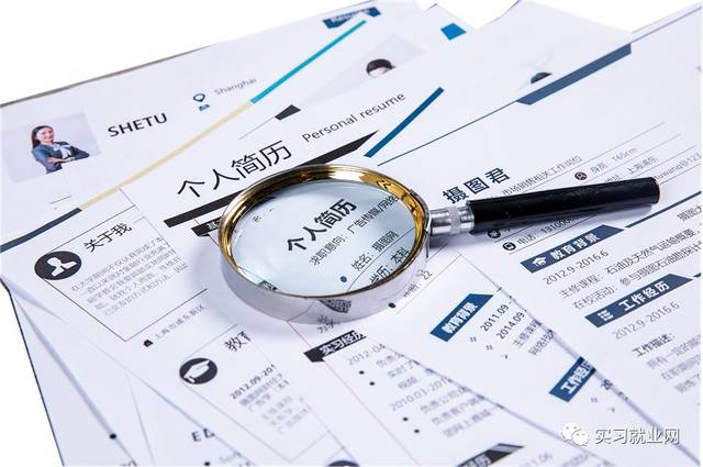 个体从业者的辉煌历程，一份独特的个人简历