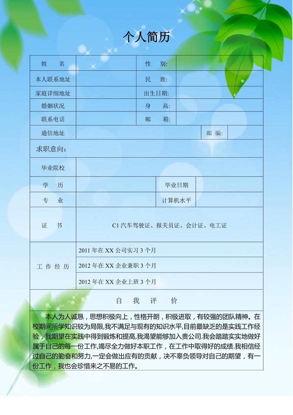 保险个人从业经历模版