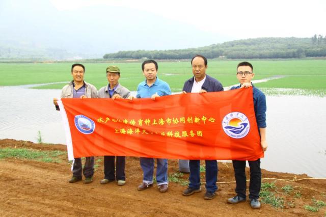 云南渔业科学研究院，引领渔业科技创新的先锋
