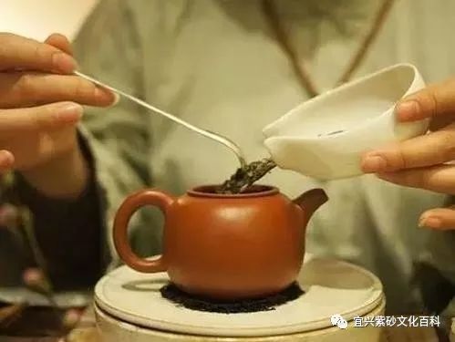 拿紫砂壶的手法，泡茶的艺术与品茗的仪式