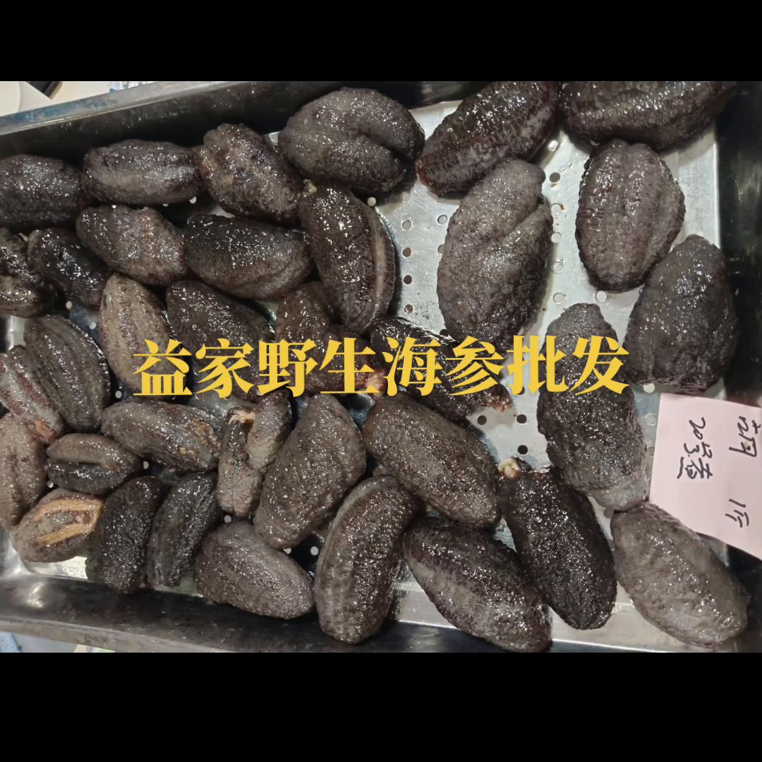 海参圈养殖夏季管理技术探讨