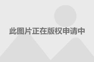 复古时尚，穿越时空的优雅魅力