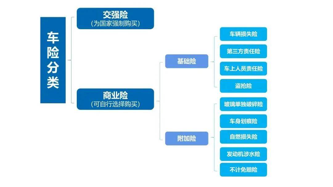 车辆强制保险去哪交，全面解读与操作指南