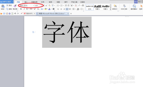 文档字体与白体的魅力