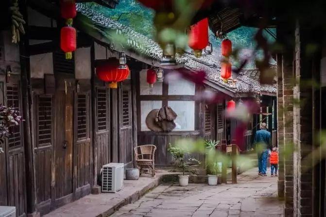 榕树落叶黑，自然之韵与生命之思