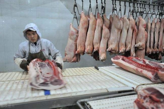 猪肉数量高的影响与考量