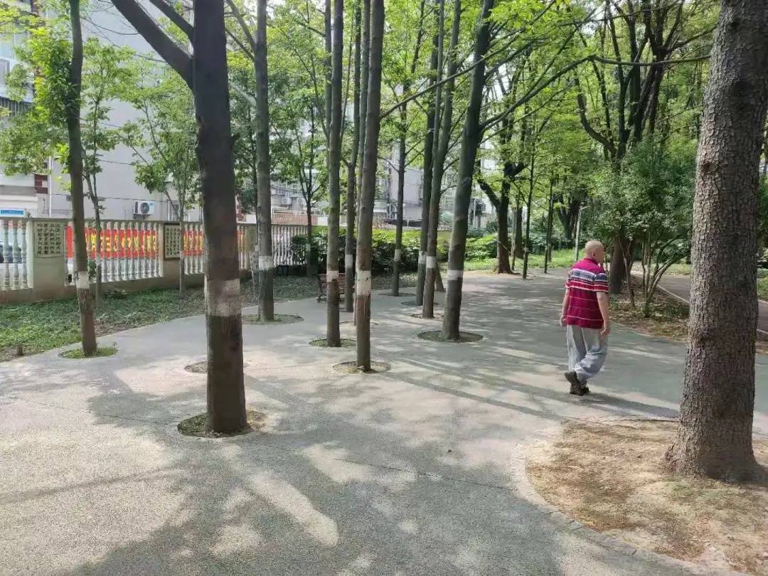 卫生技术人员，守护公众健康的无名英雄