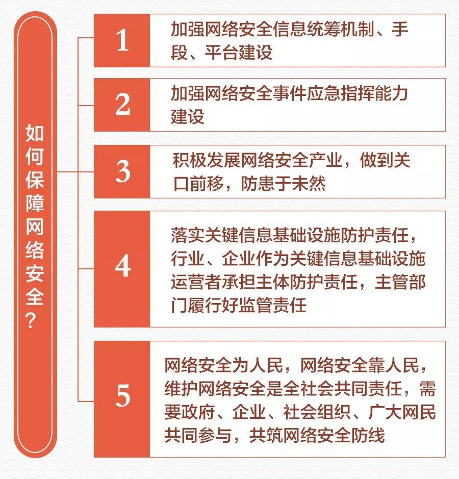 家禽养殖数量的优化与管理策略探讨