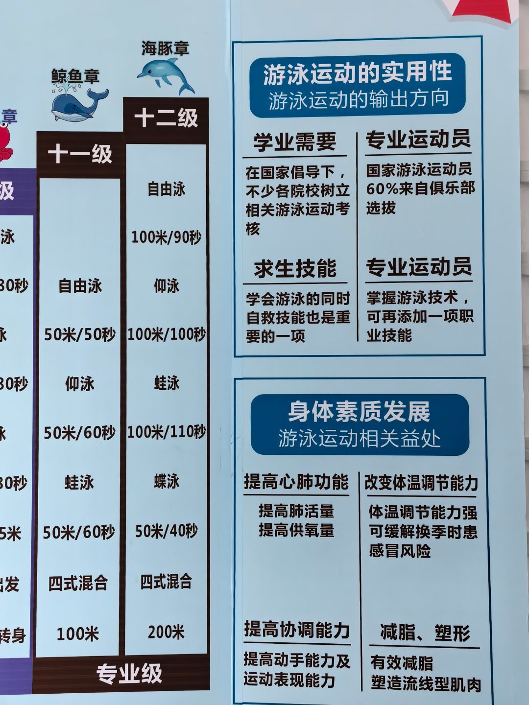 关于游泳培训的重要性及其价值