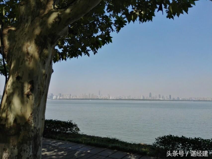 休闲骑与轻松骑，探索现代都市的惬意骑行之道