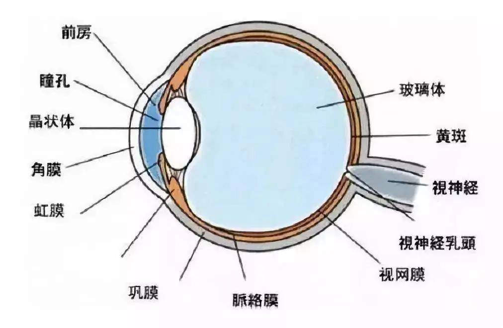 校园教育 第138页