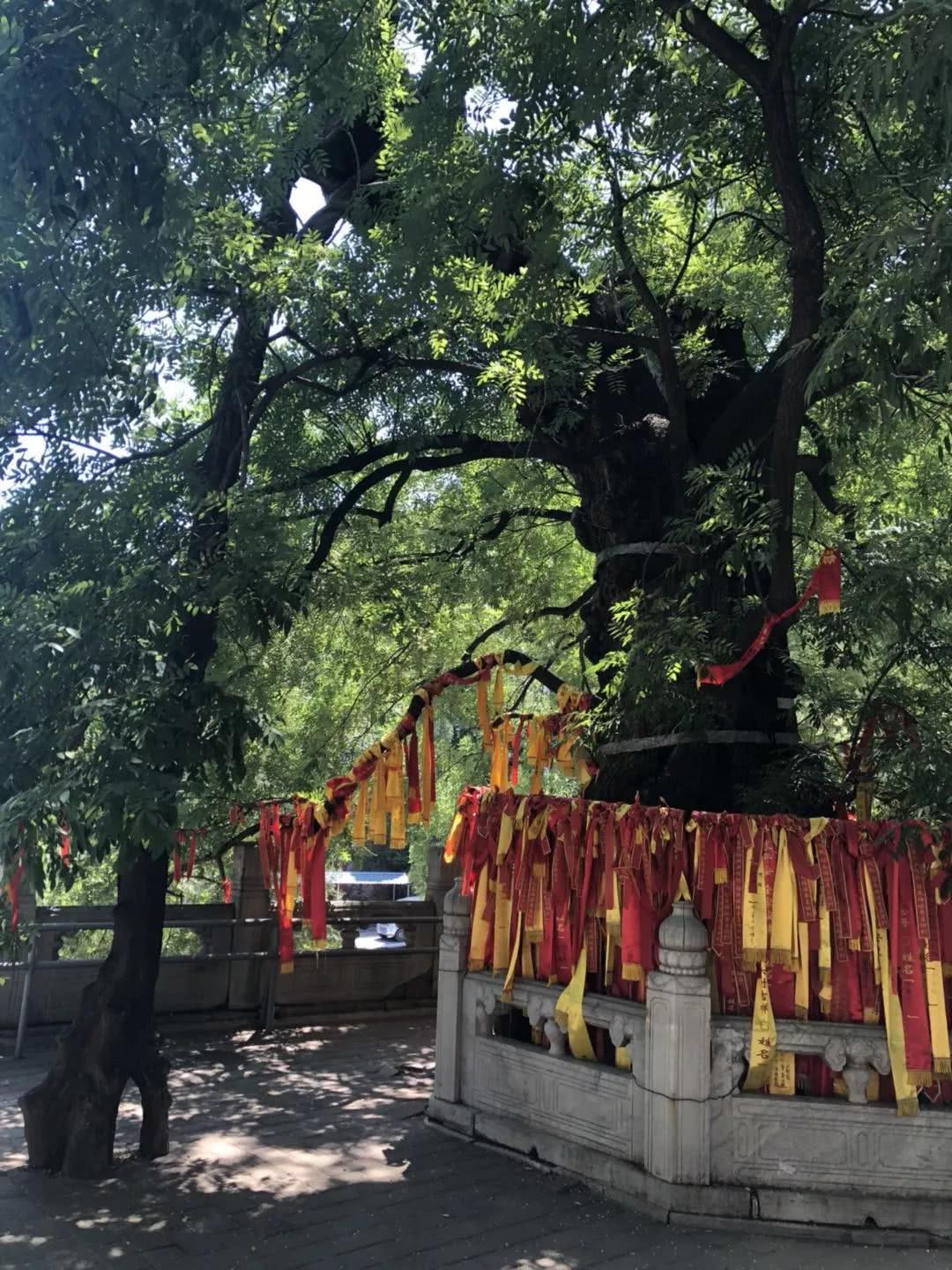 古塔小诗，探寻历史与文化的独特韵味