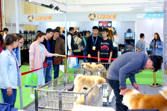 宠物展，展现人与宠物的美好时光