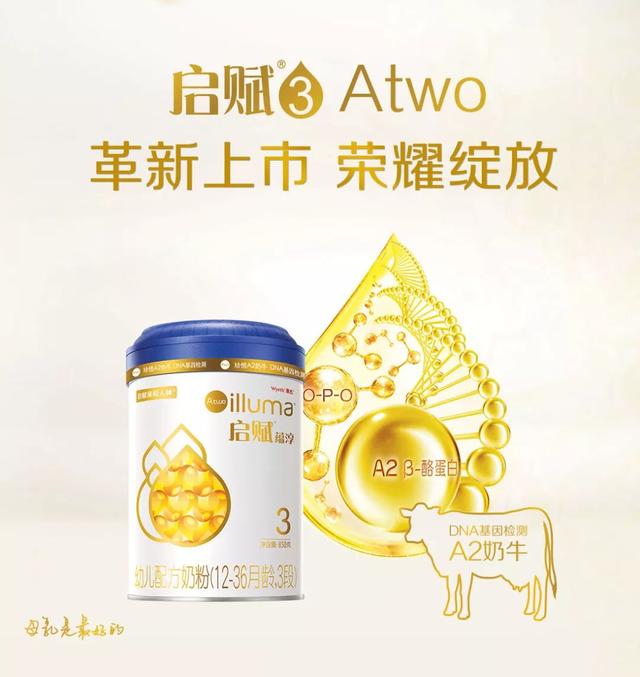 启赋最新版，深度解析与前瞻展望