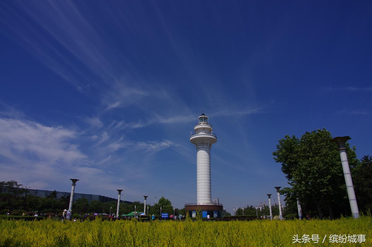 每日提醒，生活的导航与心灵的灯塔