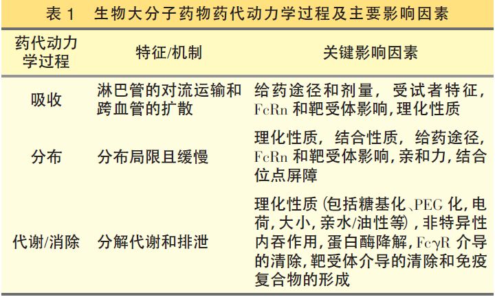 如何加快药物代谢，方法与注意事项