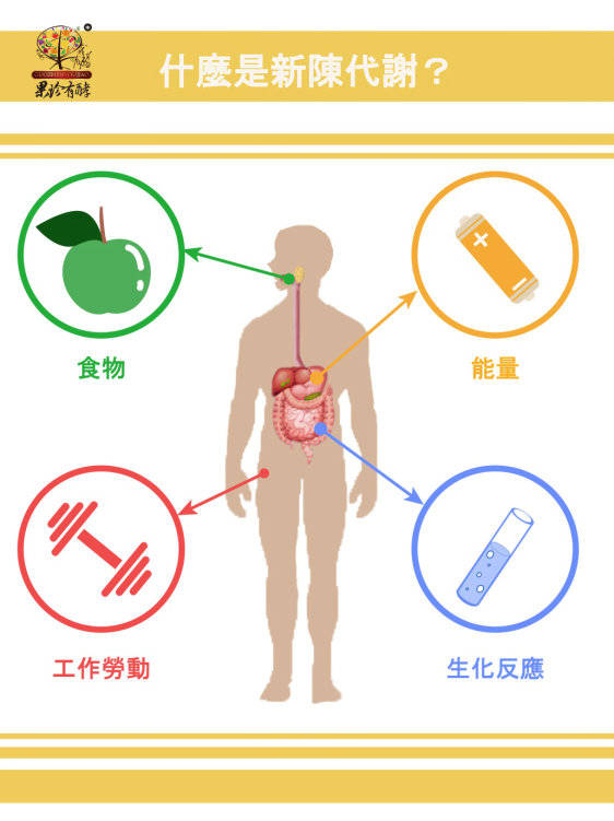 新陈代谢疾病概述及其类型