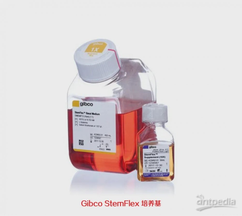 赛默飞血清，守护生命科学的卓越之选
