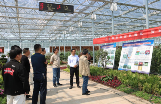 河南兴农牧业，蓬勃发展下的新篇章