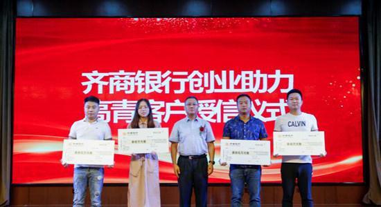 投资担保公司的业务，深化理解与发展策略