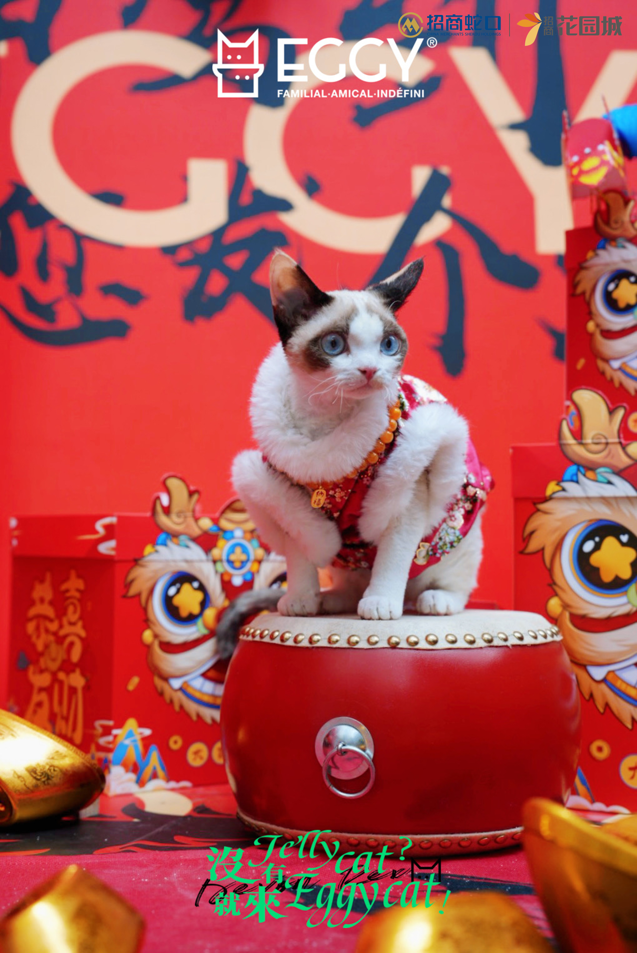 元宝坐猫，萌宠新风尚