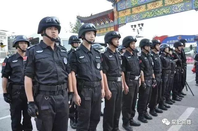 警备执勤，守护安宁的坚实屏障