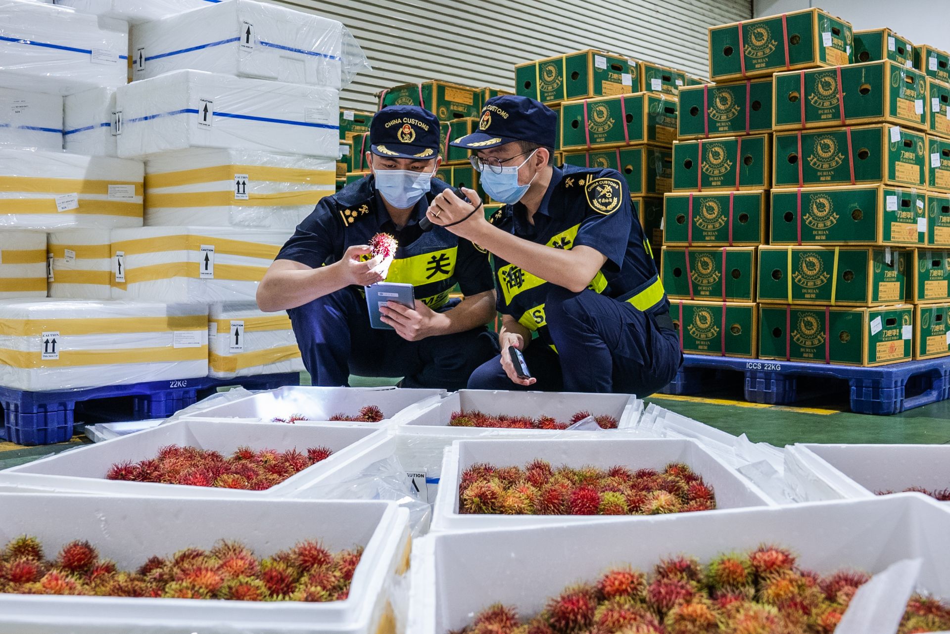海关水果备案，保障食品安全与贸易顺畅的关键环节