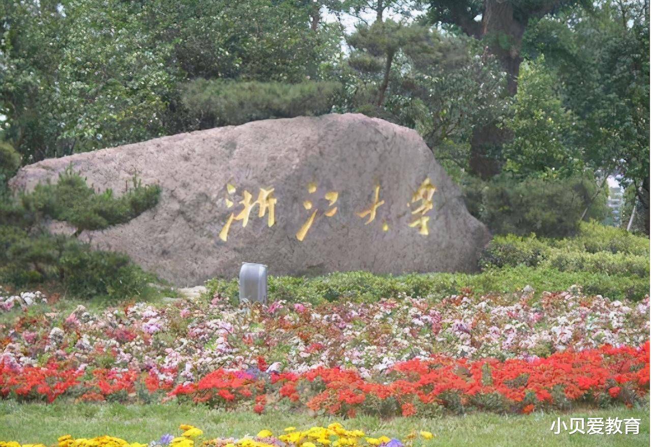 浙江黄莲，绽放的自然瑰宝与文化魅力