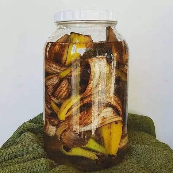 自己做花肥，探索与实践的乐趣