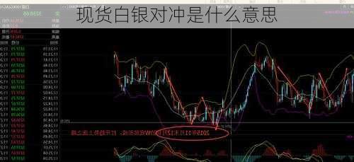 2025年3月 第15页