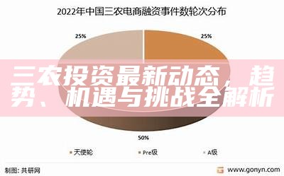 农村项目投资，机遇与挑战并存