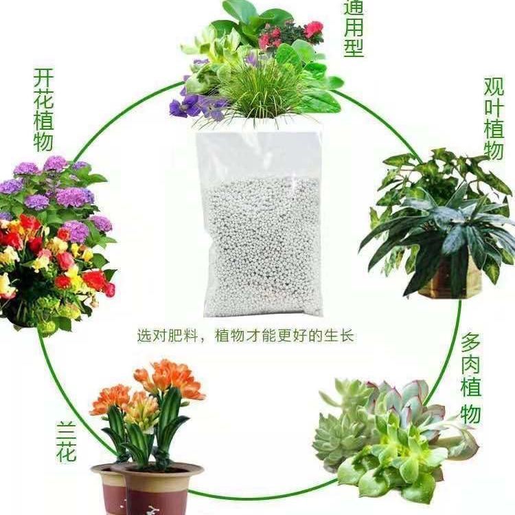 花肥料哪个好的深度解析