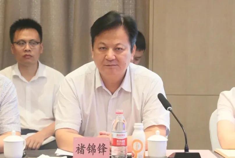陕西羊奶业最新消息，蓬勃发展，引领行业新潮流
