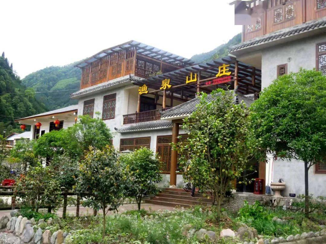 杜仲的疗效，古老草本的神奇力量