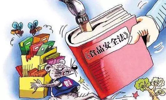 食品安全法下载，保障公众健康的重要法规