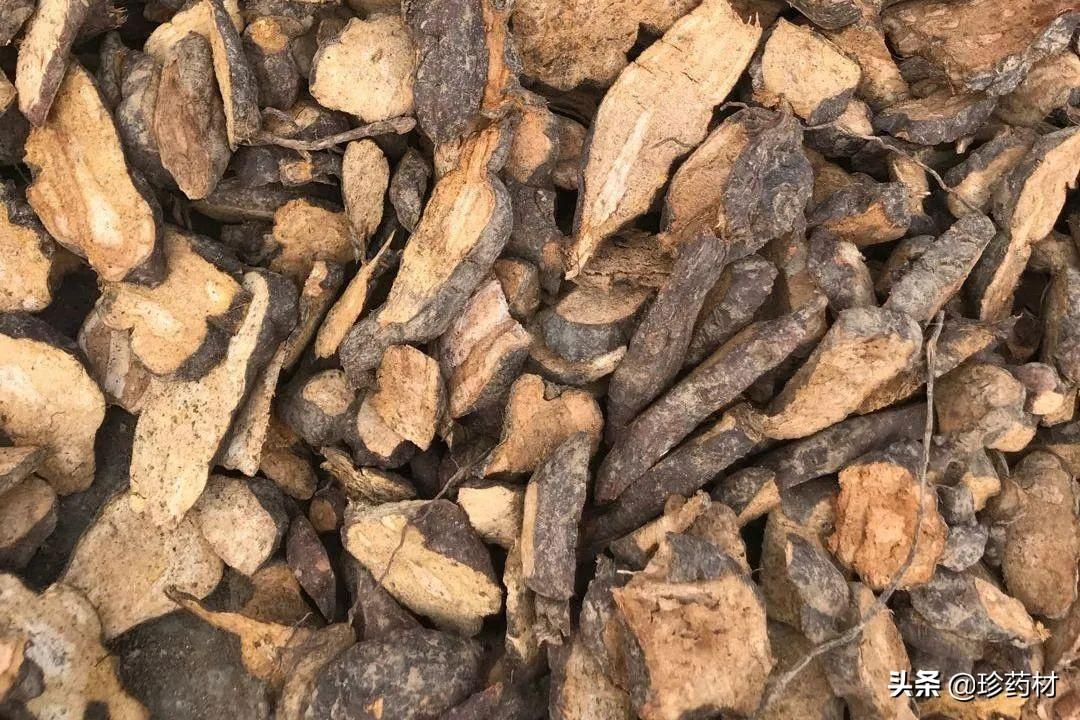 鸡血藤的疗效，传统中药材的神奇魅力