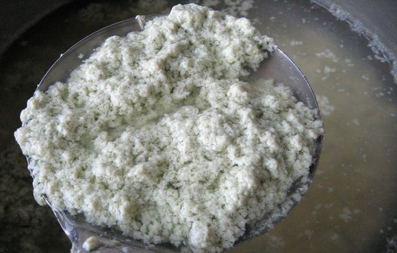 豆渣与花肥，环保与园艺的完美结合