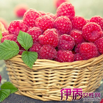 孕妇梦见摘树莓吃的寓意与启示