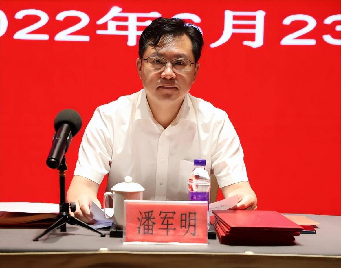 成功项目展示形式，多维度呈现项目成果与价值