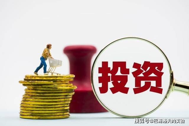 投资投入的形式有哪些，深度解析与策略探讨