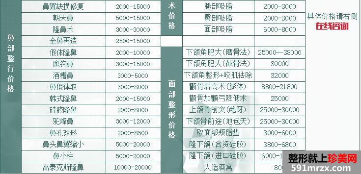 垫鼻子要多少钱——全面解析隆鼻手术费用