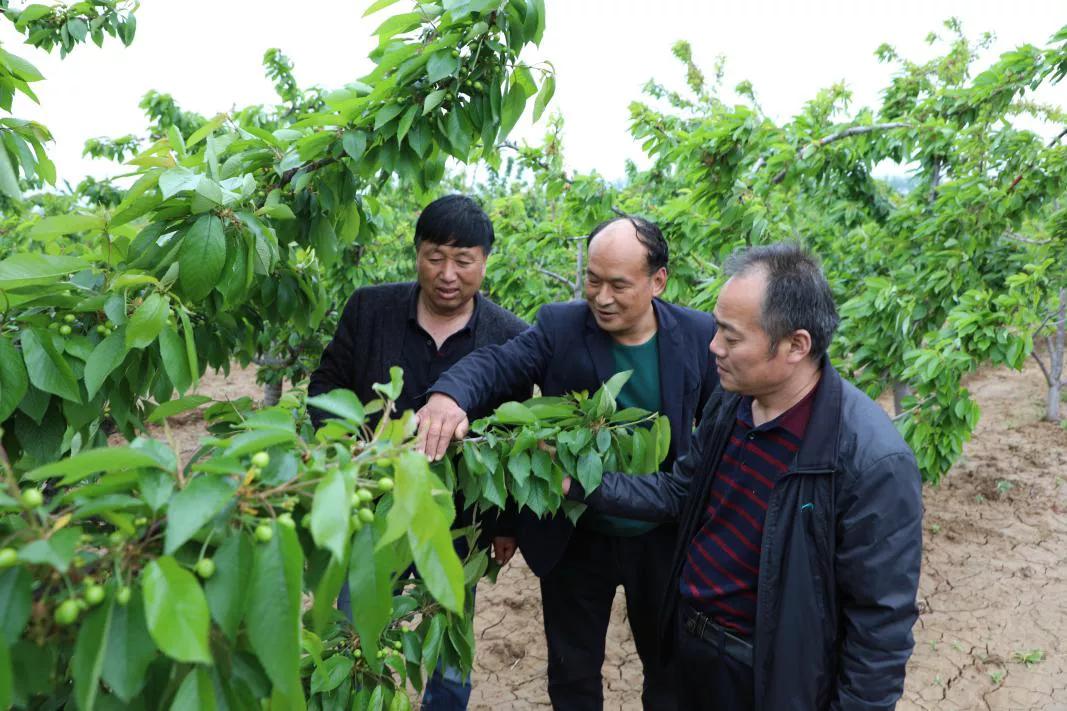 校园教育 第80页