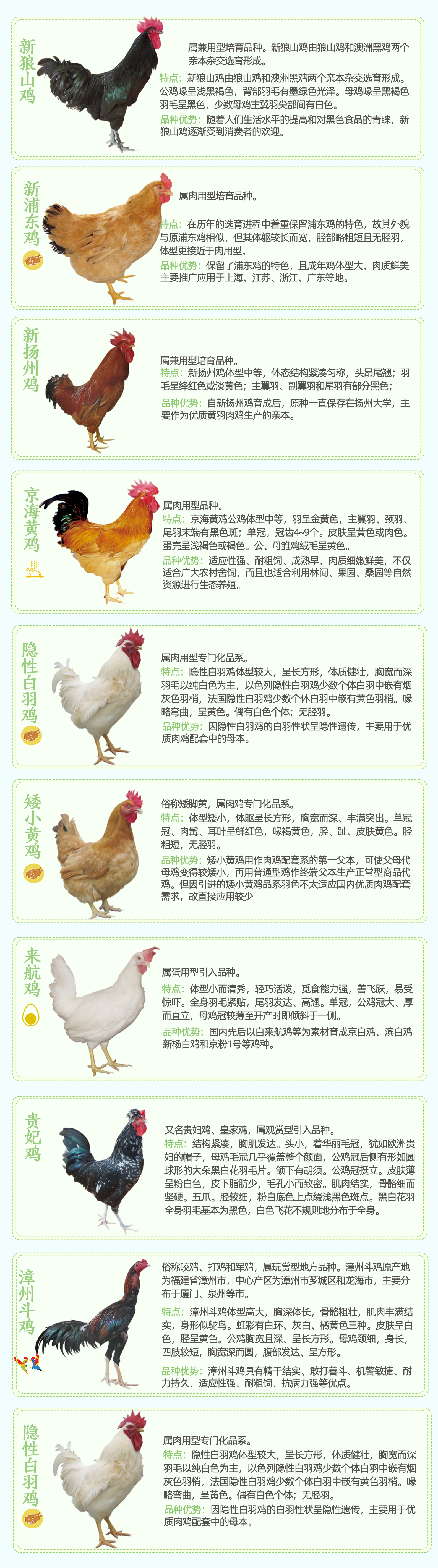 中国有几种类的鸡