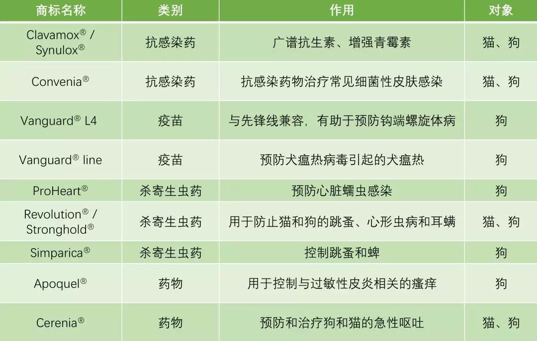 四川英格瑞兽药种类，深度解析与应用前景