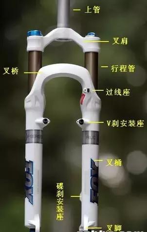 左撇子前叉等级，探索特殊群体与自行车技术的交融