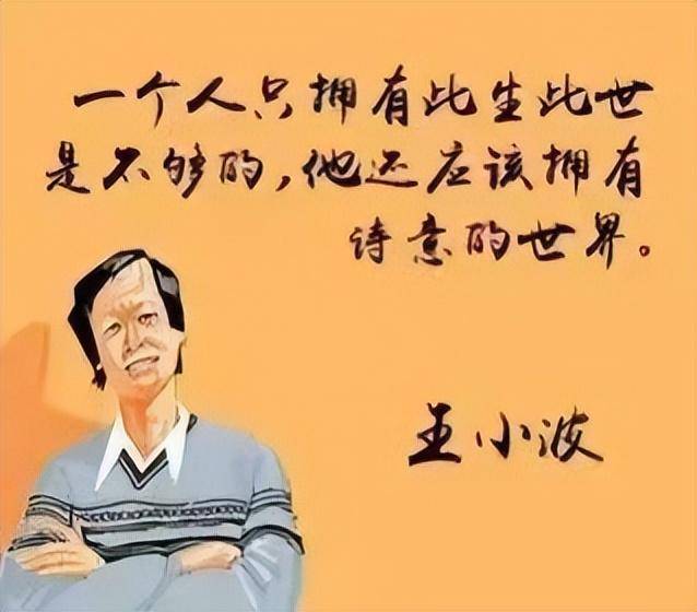 黄金时代，王小波的独特叙事魅力与深刻的社会洞察