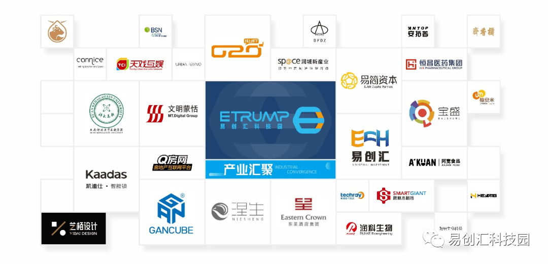 红鼎创投，引领创新与发展的先锋力量