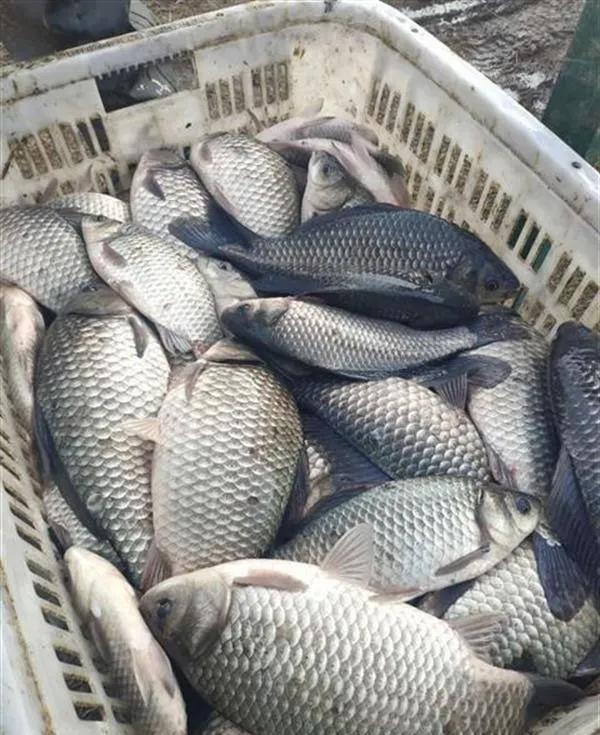 孝感市创投，引领地方经济新动力