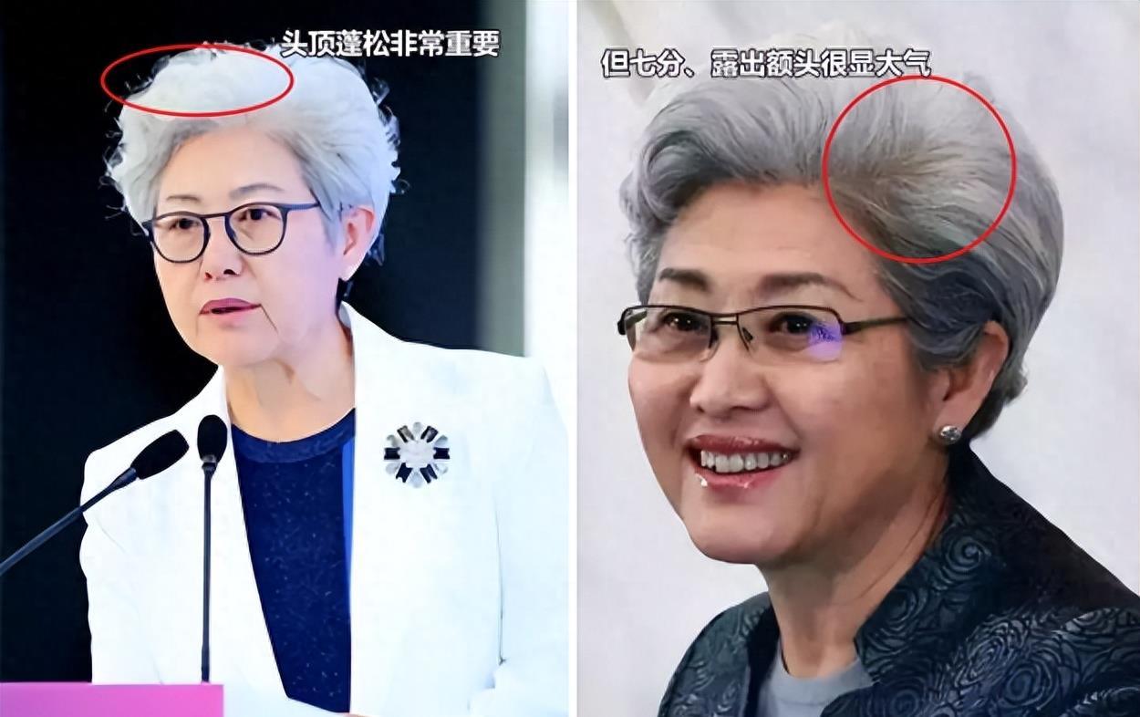 傅莹的待遇，一位杰出女性的职业成就与社会地位