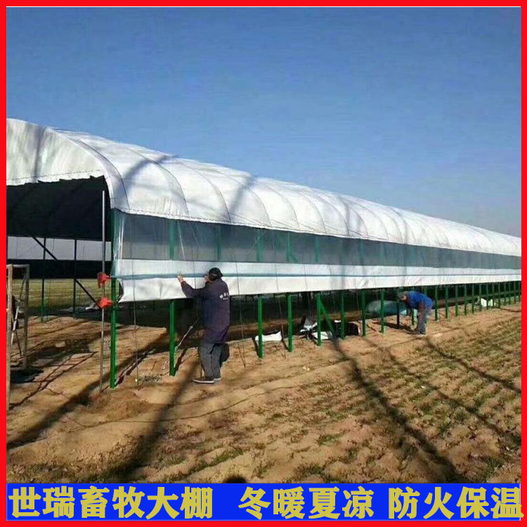 对虾养殖钢丝大棚搭建技术与实践